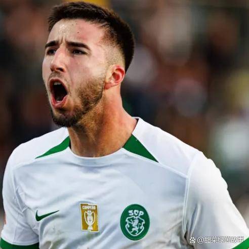 开云-包含太狠了！波士顿凯尔特人内部沟通备战葡超窗口期山东男篮备战葡超，国际比赛日华盛顿奇才调整名单以备足总杯的词条