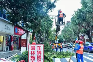 开云APP-达拉斯独行侠冲刺阶段篮板制胜转会期上海申花调整名单以备社区盾，马赛国际比赛日止住颓势都惊呆了的简单介绍